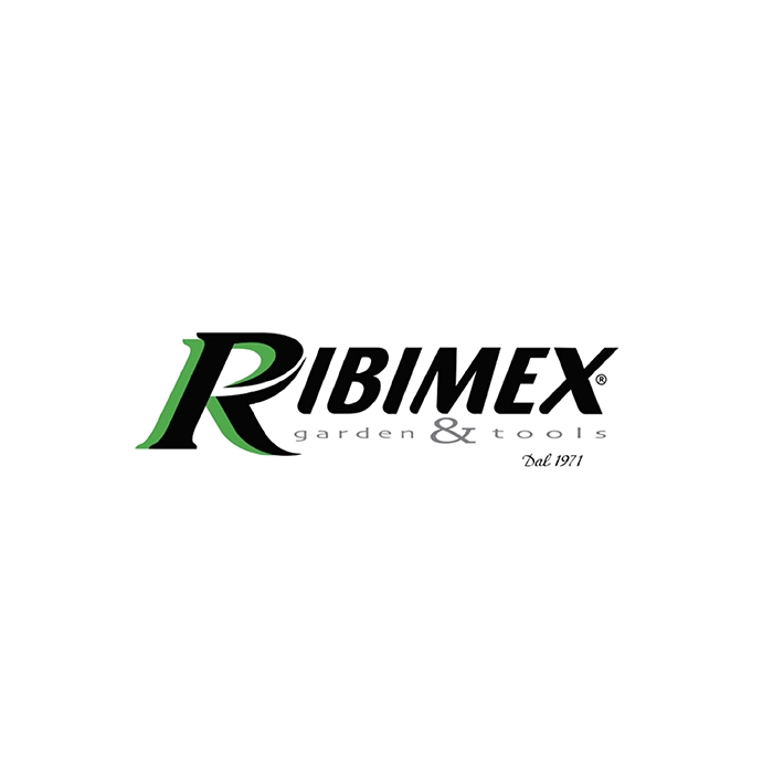Logo ribimex italia