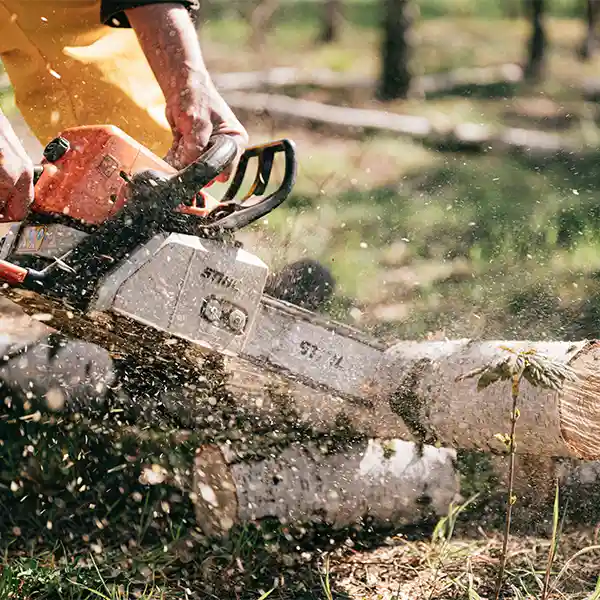 Macchine da giardino